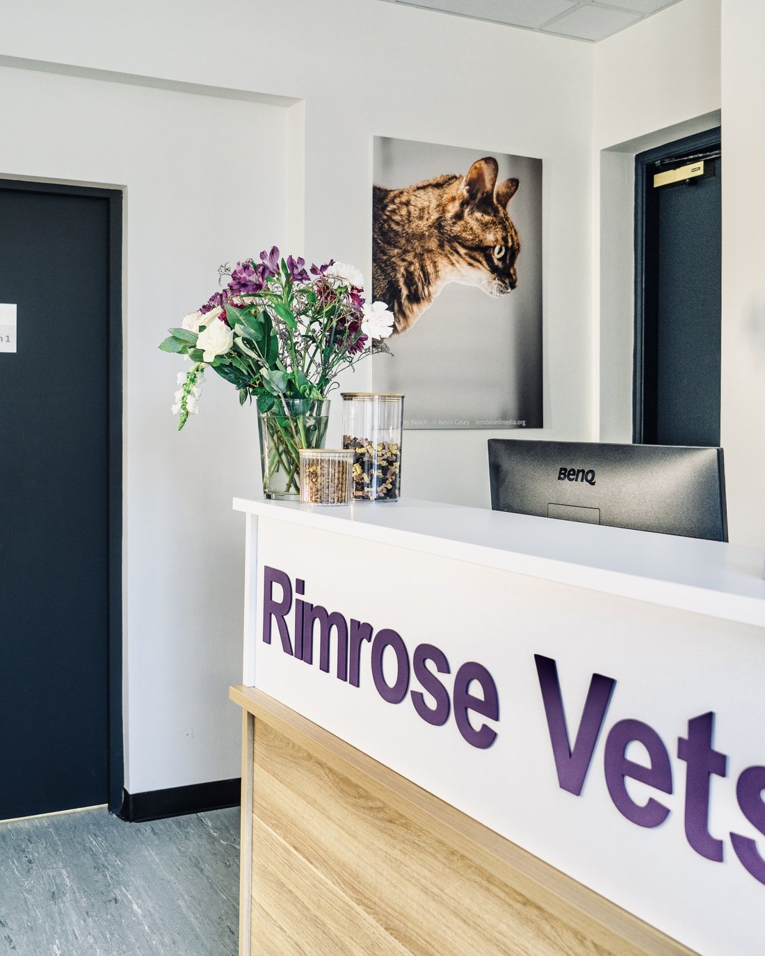 Reception at Rimrose Vets