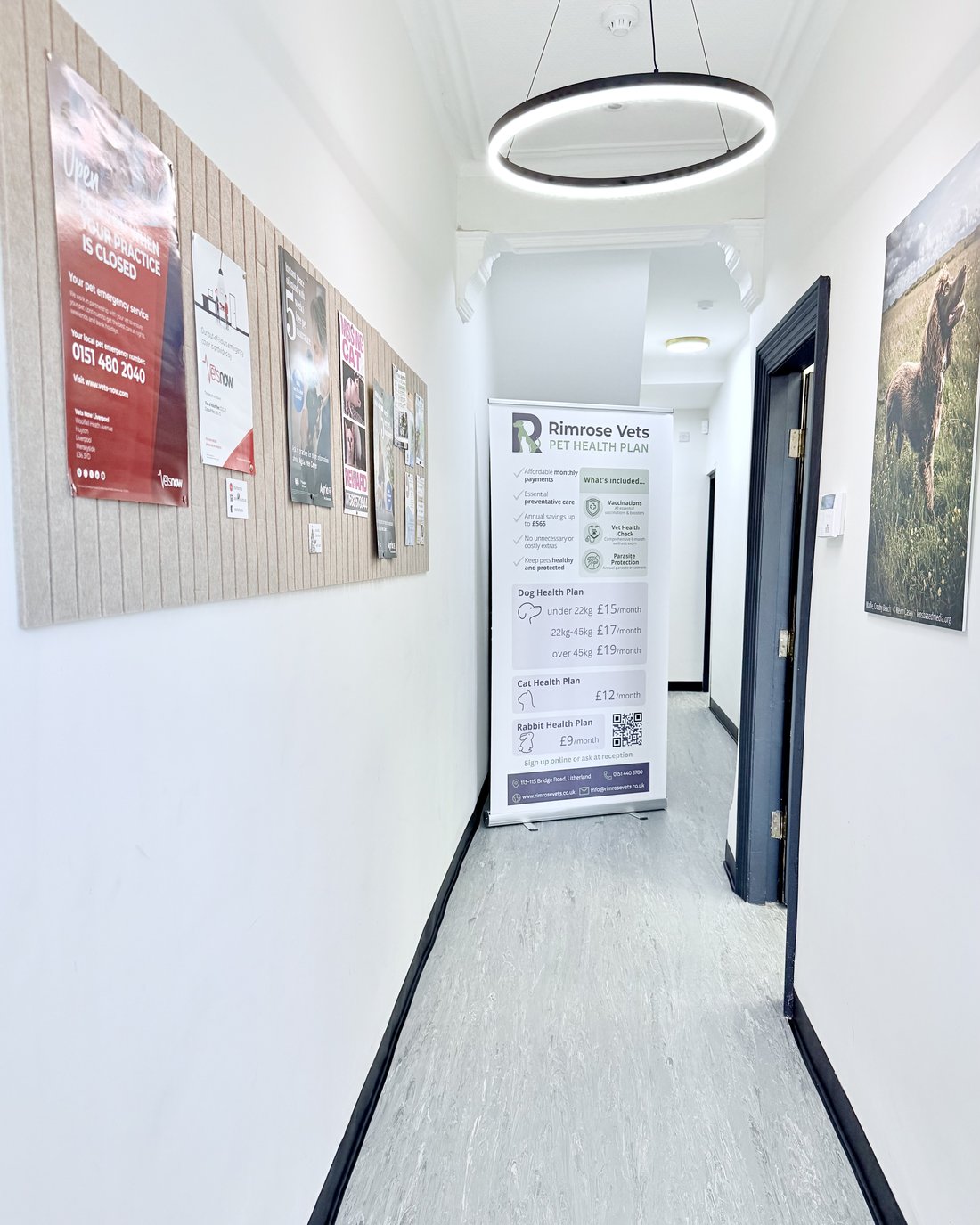 Inside Rimrose Vets on Bridge Road